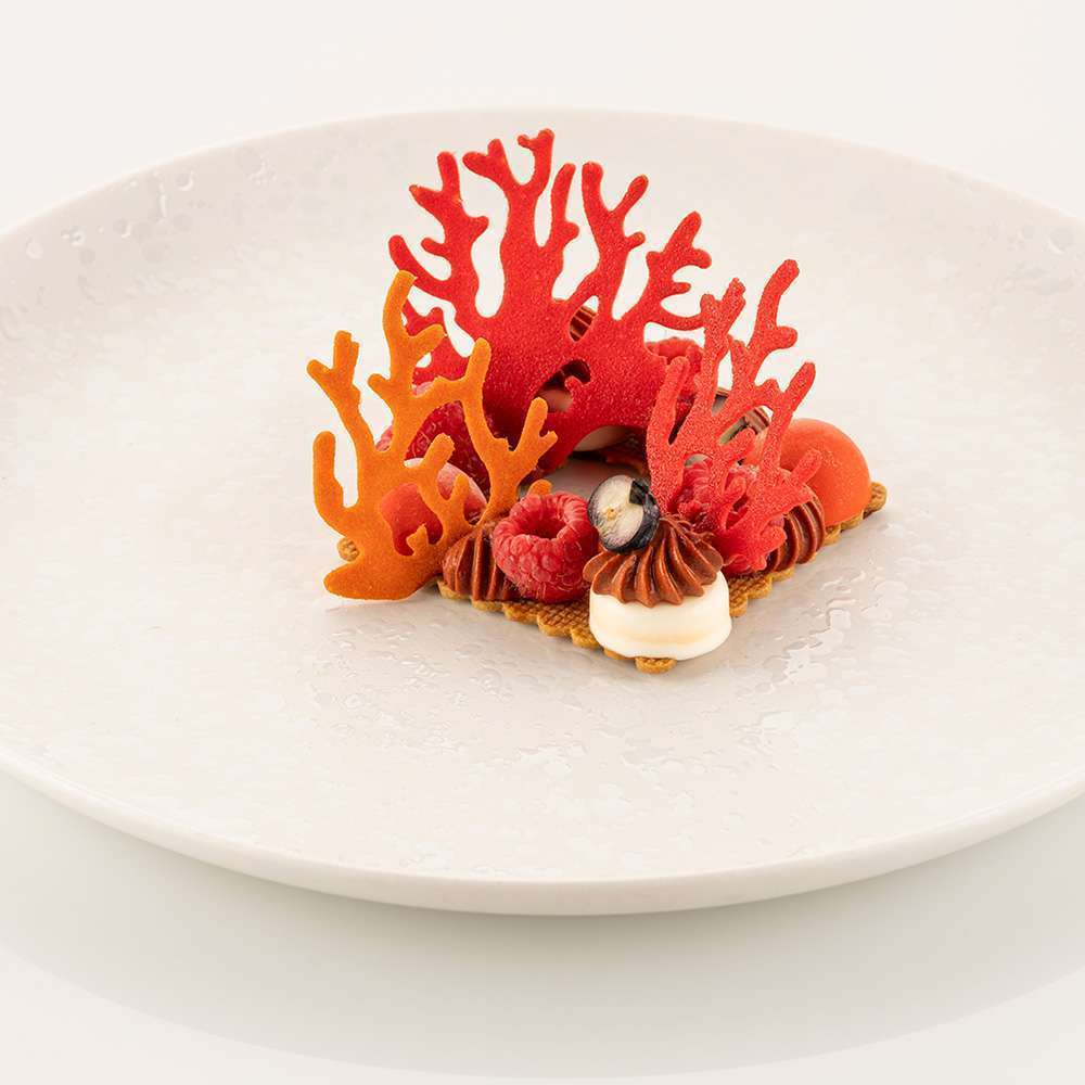 Силиконовая форма для декора Корал Silikomart CORALLO - Фото 3