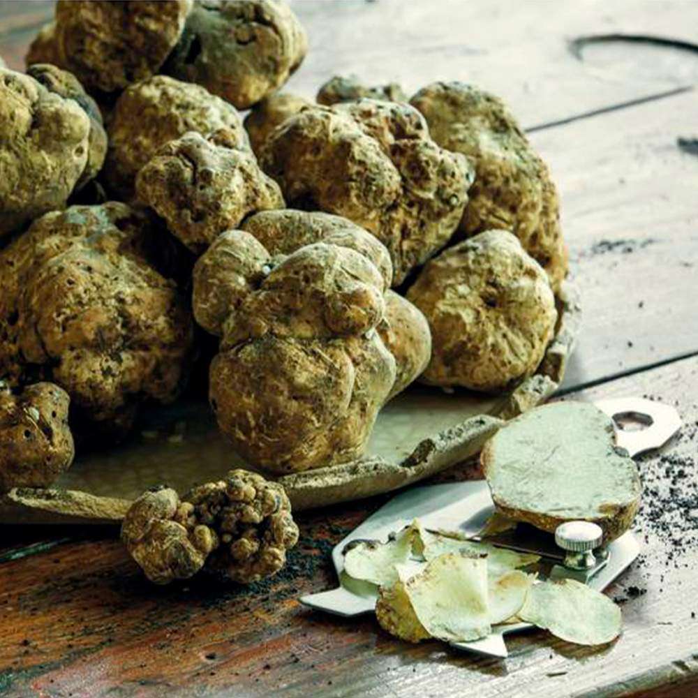 Нож для трюфелей 17 см Paderno 48237-00 - Фото 2