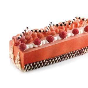 Силиконовая форма для десертов TRONCO Silikomart KIT SQ066 TRONCO 58x15 ВП