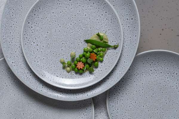 Porous pictachio (Ariane)