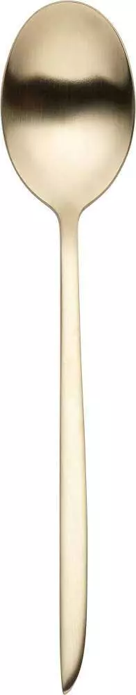 Столова ложка Eternum Orca mat champagne - 1489-2