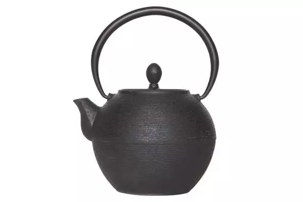 Чайник с фильтром для заваривания Cosy Akita 1250 мл (черный) 8376265