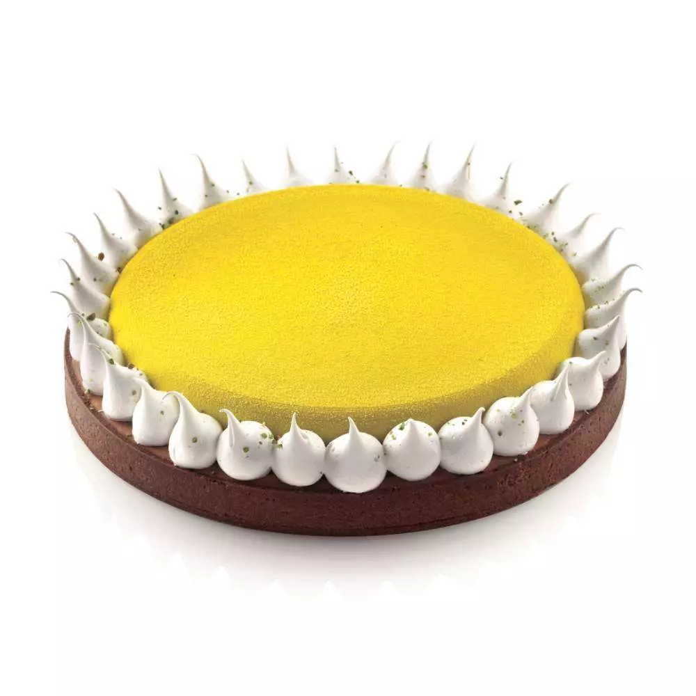 Набор форм для тартов ROUND d 23 cм Silikomart KIT TARTE RING ROUND D230 MM - Фото 2