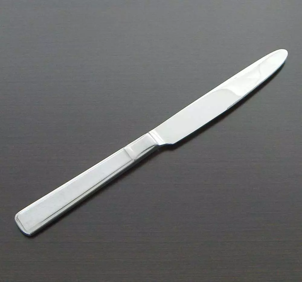 Столовый нож Pintinox Leonardo 05000003 - Фото 2
