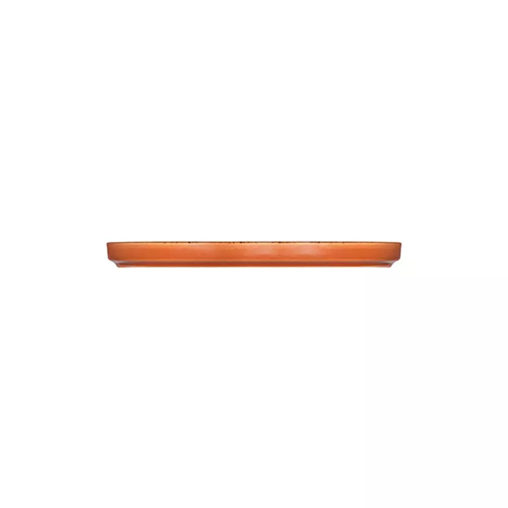 Тарілка овальна ID Fine Fall Terra 26 см stolt 20651-163026 - Фото 2