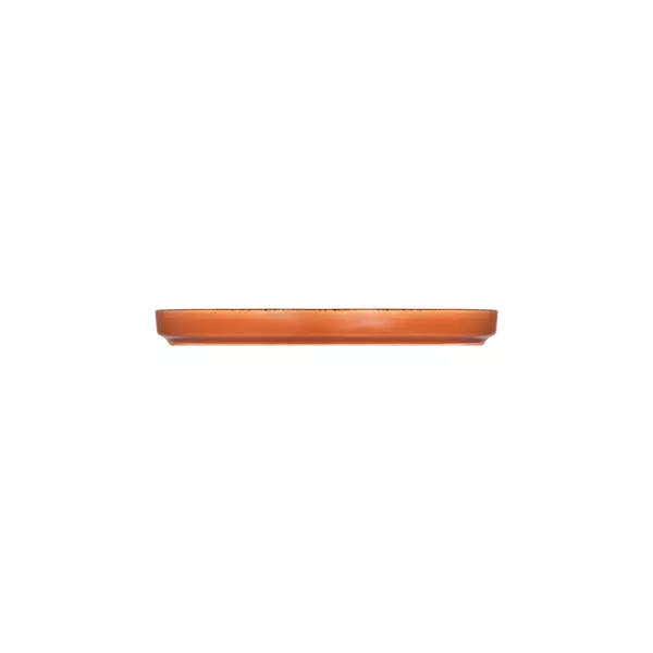 Тарілка мілка з бортом ID Fine Fall Terra 28 см 20651-161028 - Фото 2