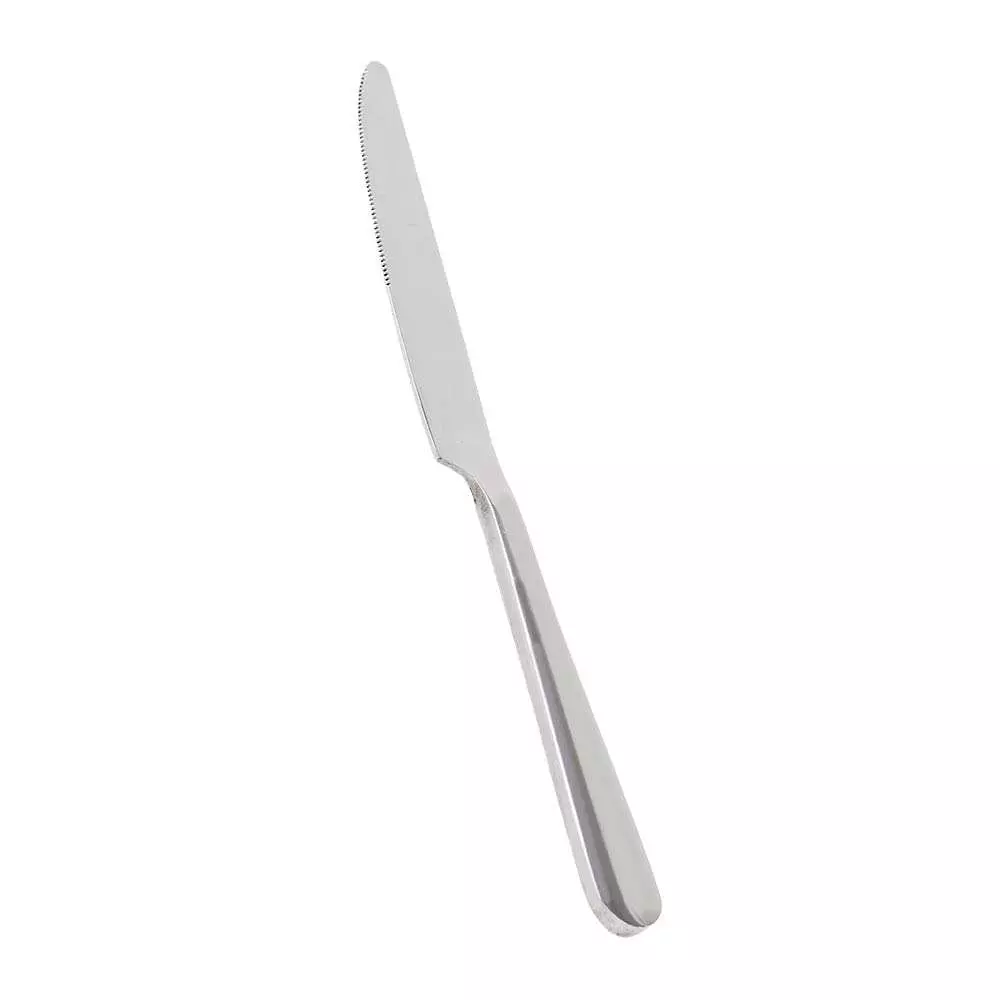 Столовый нож Pintinox Eat 18/0 25700003 - Фото 1