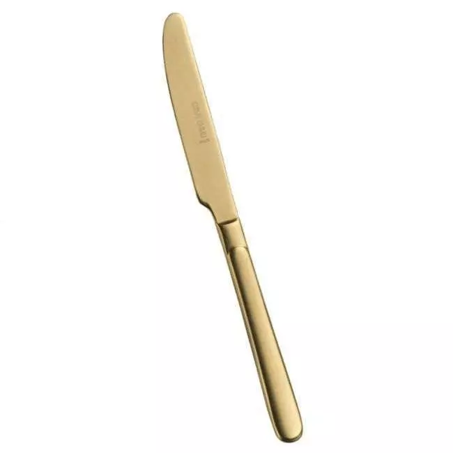Столовий ніж Pintinox Casali SW gold - 0YA20003