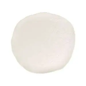 Тарілка мілка Porser Professional Roots Dove 29 см DOV-SNTDZ29