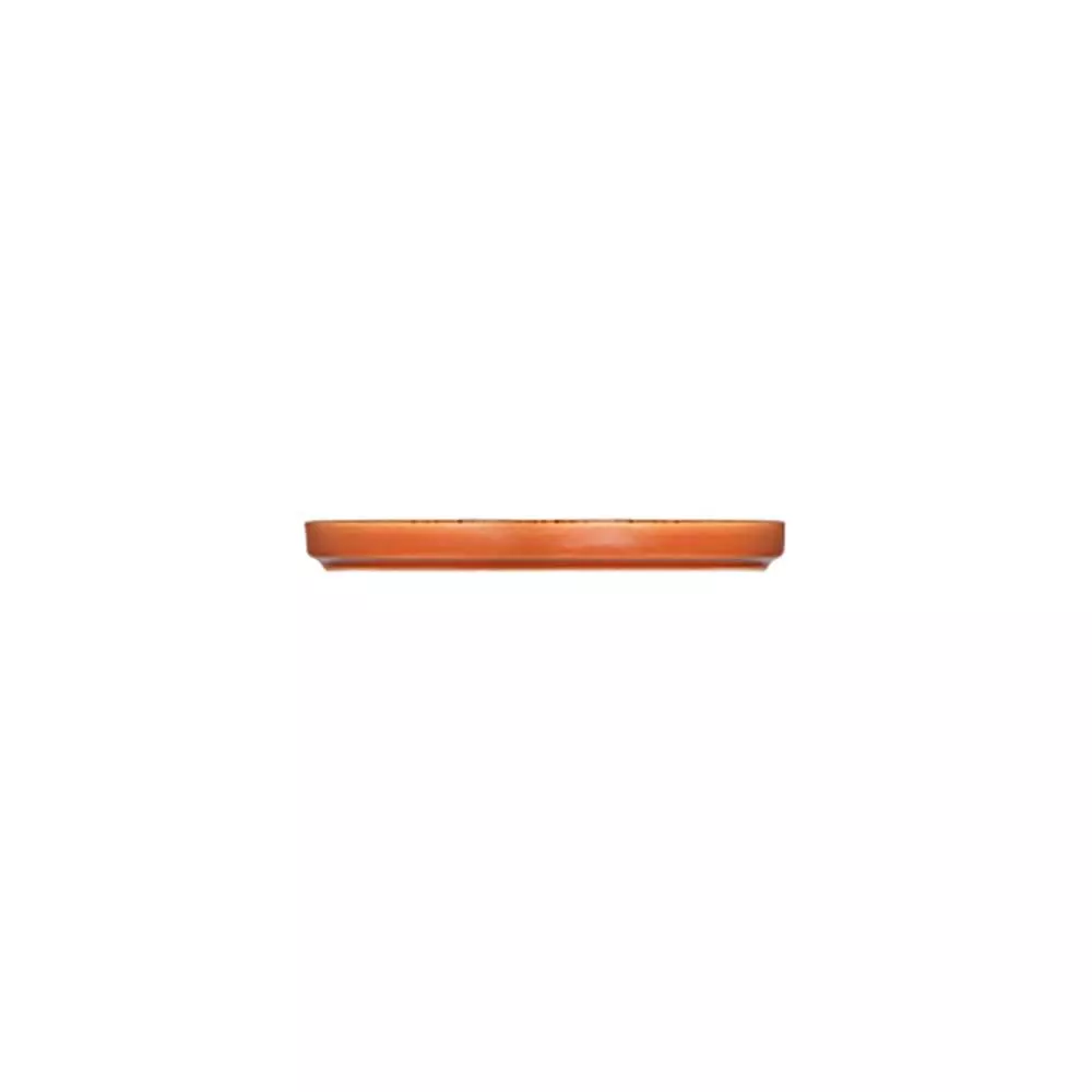 Тарілка мілка з бортом ID Fine Fall Terra 16,5 см 20651-161016 - Фото 2