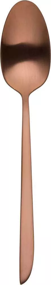 Чайна ложка Eternum Orca mat copper - 1487-3
