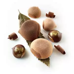 Силіконова форма для десертів MARRON GLACE 110 мл Silikomart Marron Glace 110