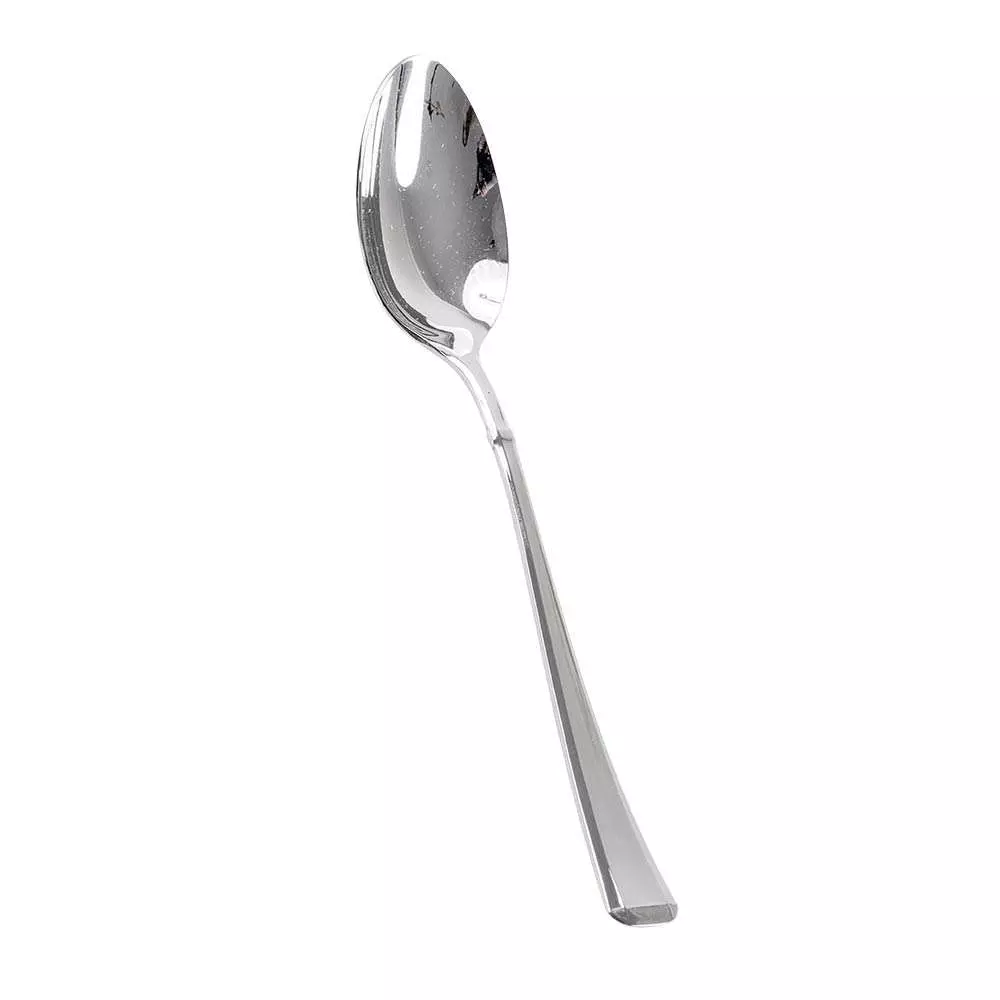 Столова ложка Pintinox Leonardo - 05000001 - Фото 1
