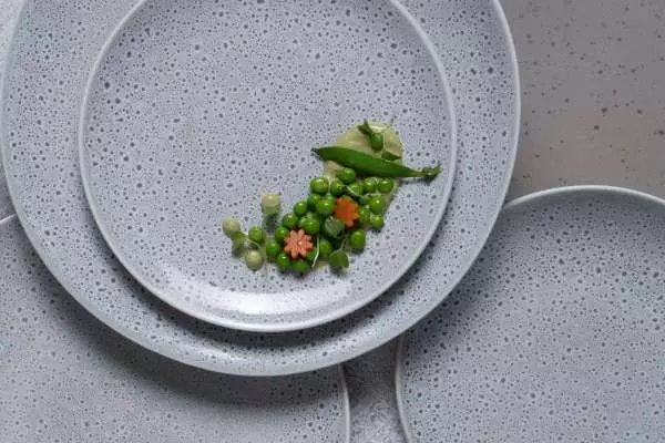 Porous pictachio (Ariane)