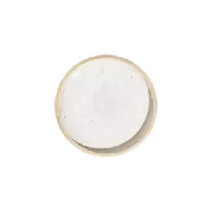 Тарілка мілка з бортом Porser Professional Roots Cameo 27 см CMO-CLSDZ27