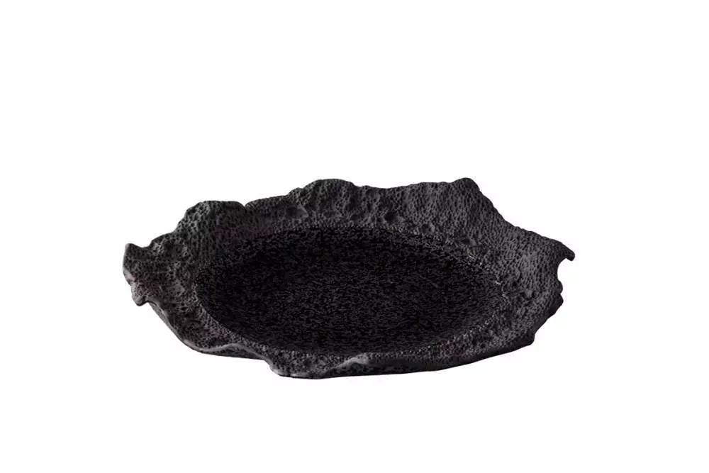 Тарілка Studio Raw Coral d32X28 см black RD19206