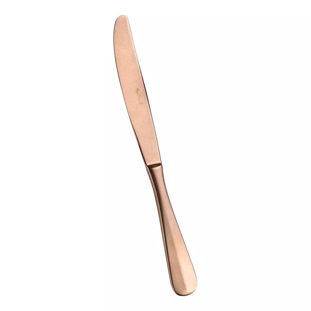 Столовый нож Pintinox Baguette Bronze 0WB20003 - Фото 1